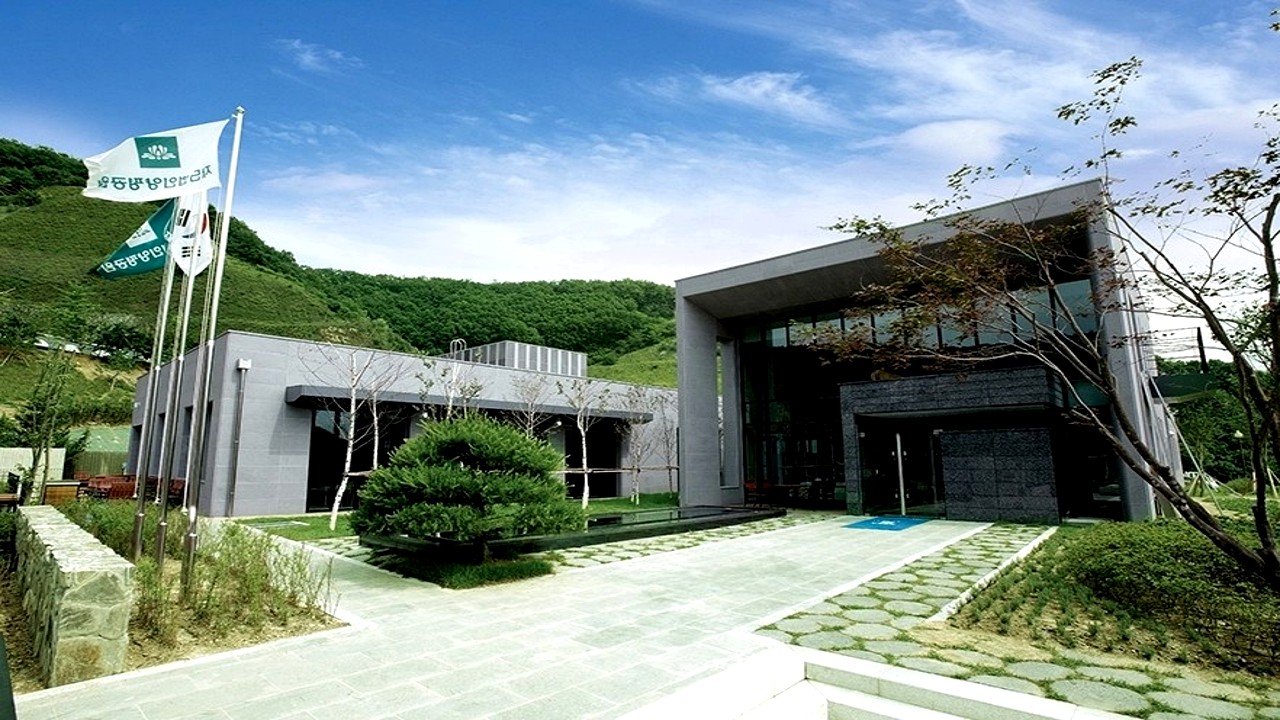 별그리다 장례식장 전경