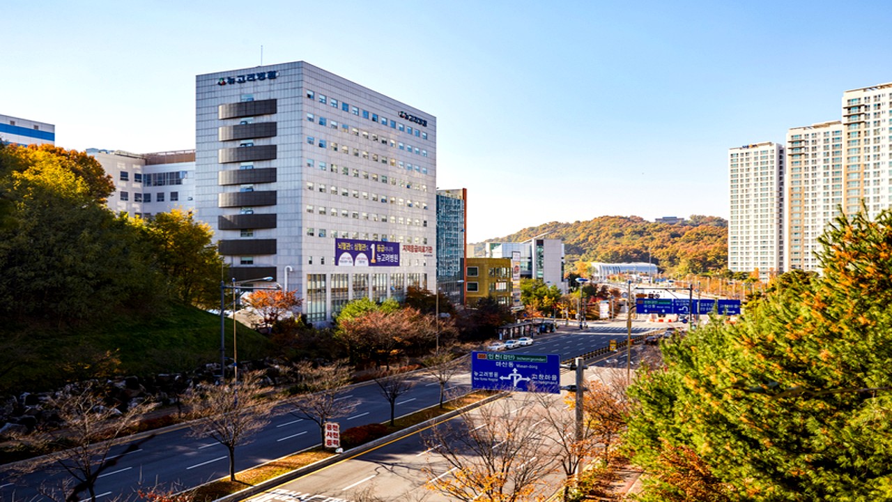 뉴고려병원 전경과 주변 풍경